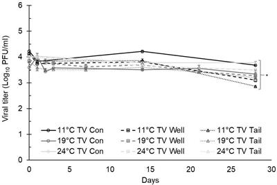 Impact of irrigation water quality on human norovirus surrogate survival during leafy green production